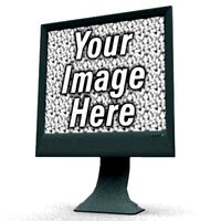 Flat Panel Monitor