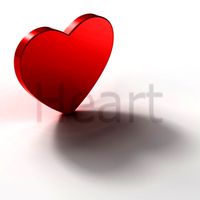 Flat realistic heart with shadow