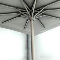parasol