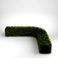 Bush_08 ,,L,, (fillet)