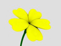 Spring Flower