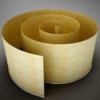 Modern celling Lamp