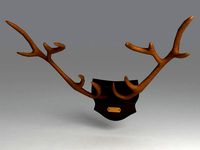 Horns