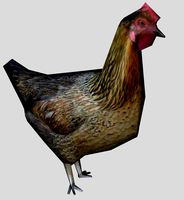 chicken obj
