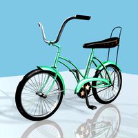 Green BiCycle