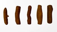 Turmeric Root