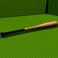Baseball Bat