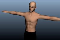 Asian Male 3d model