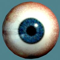 Eyeball Dark Blue