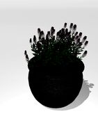 Cauldron pot