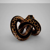 Torus Note
