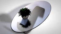 Coffee table + plant