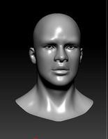 Black Male Head Bust