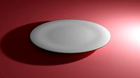 Dinner Plate