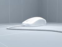 mouse