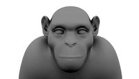 Chimpanzee 3D Model