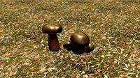 a forest mushroom