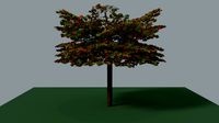 Fall Tree