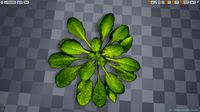 Fantasy Meadow Foliage Pack