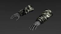 Arm