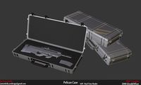Pelican Gun Case