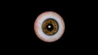 Eye Realistic