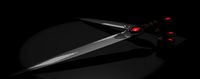 Beautiful sword