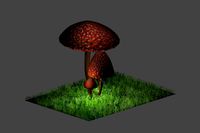 Three small mushrooms