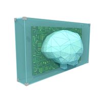 Glass brain