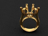 Ring 5