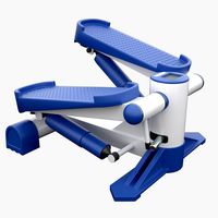 Fitness Stepper