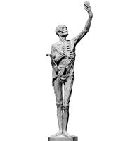 Skeleton statue
