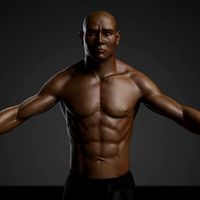 Human Male