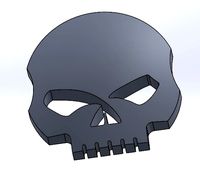 HD skull