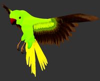 Parrot