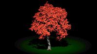 Mesh tree (but there are textures)