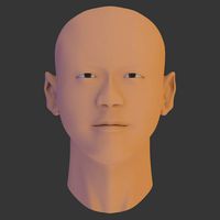 Man Head Model