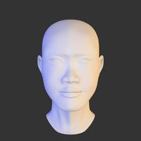Woman Head Model 2