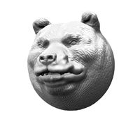 Bear Head