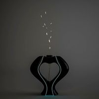 vases vase