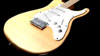Electric Guitar