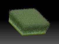 grass