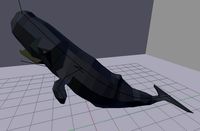 Low Poly Sperm Whale Asset