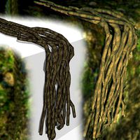 Vines (climbing)
