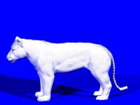 Lioness Lion Rigged Animal Character 3d