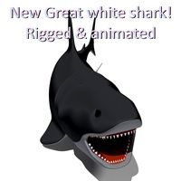 Great white shark