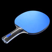 Ping Pong Paddle