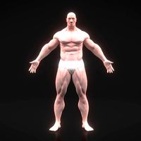 Bodybuilding body
