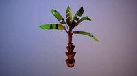 banana tree
