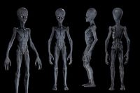 Alien Humanoid